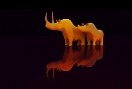 RhinoScene6